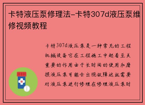 卡特液压泵修理法-卡特307d液压泵维修视频教程